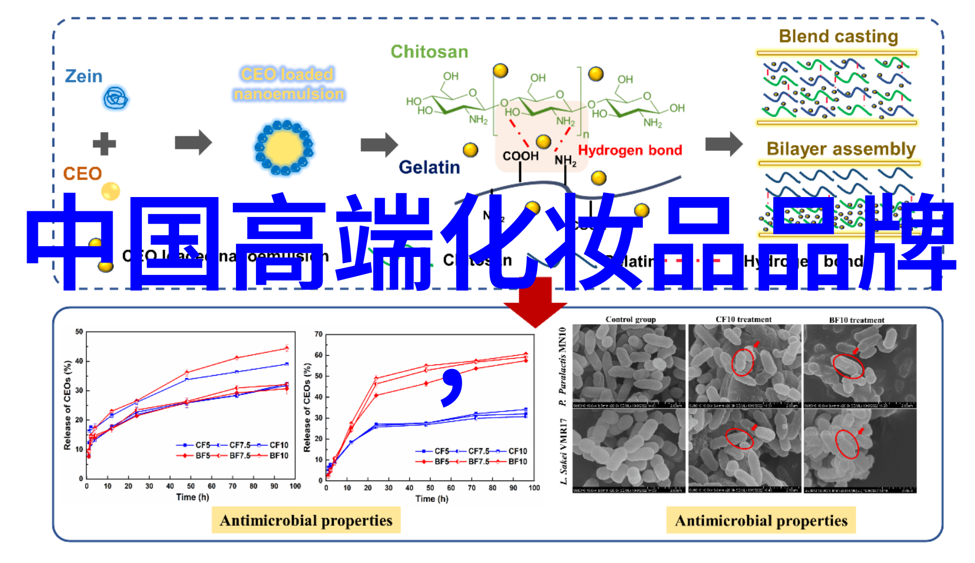 探究世界钻石之冠八颗历史与光彩并存的璀璨珍珠