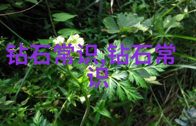 义乌1688外发加工网打造全球供应链的新引擎
