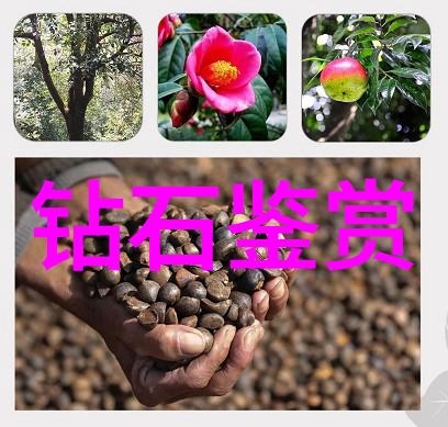 错题救赎塞入灵感的艺术