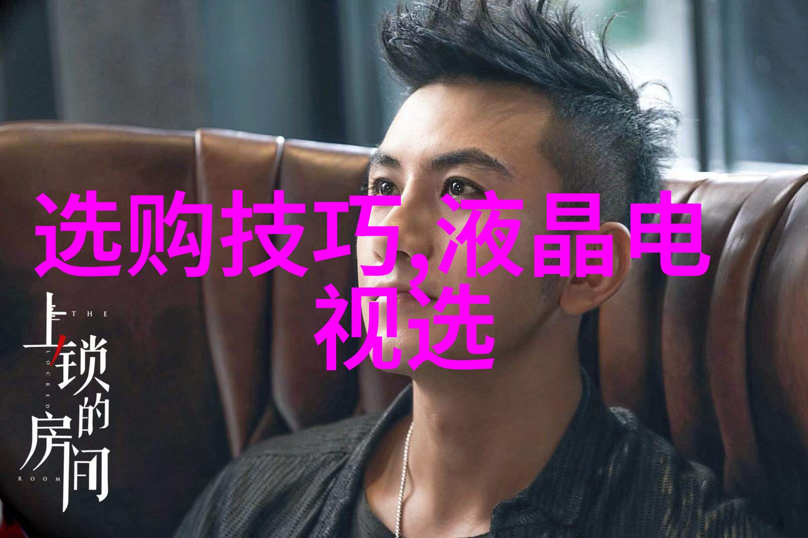 文化多样性与融合全球视野中的中国模式