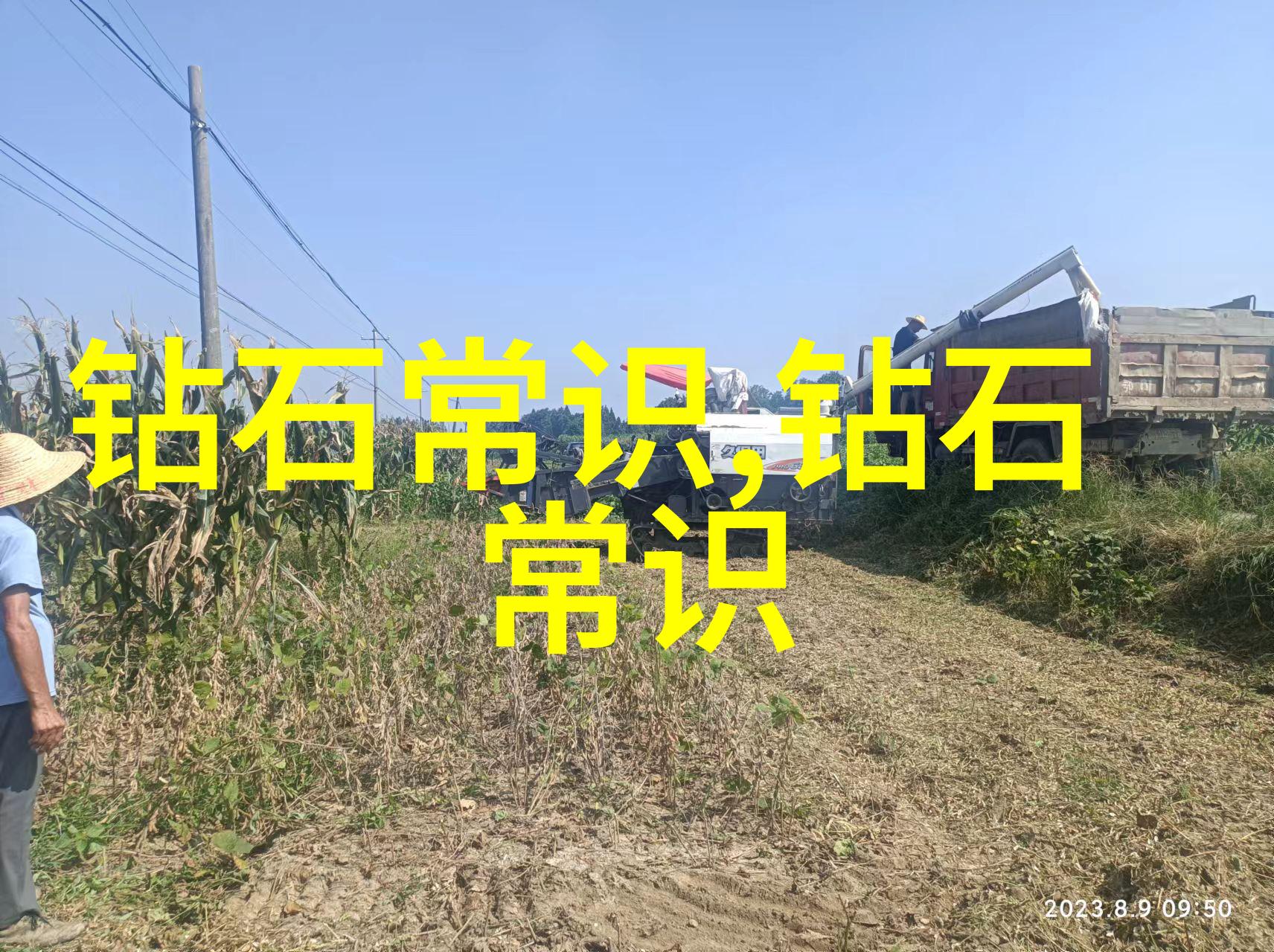从激情到永恒强欢成爱的故事篇章