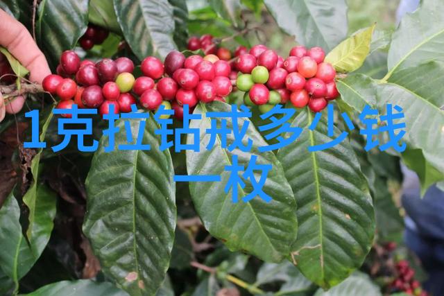 宝石奇迹千古玉玑的璀璨传说