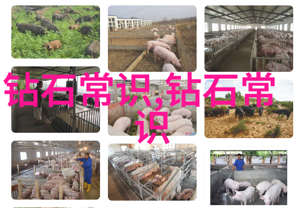 八仙过海的故事中国古典名著传说中的神仙渡海