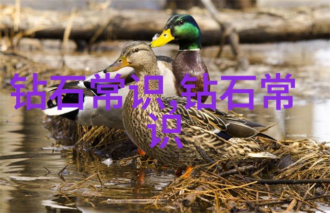 中国文化特色综述