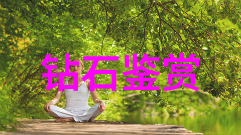 王者相遇一场命运的重逢