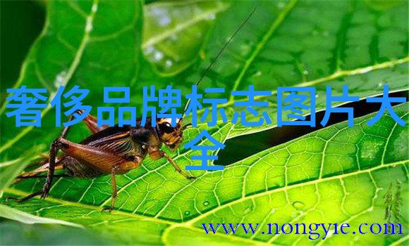 主题我国企业强大行列揭秘中国企业500强的成功之道