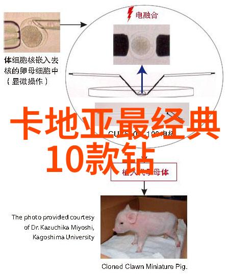 恐怖夜晚的幽灵旅店鬼故事短篇超吓人的经典篇章