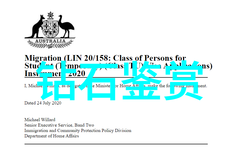珠宝设计的迷惑不为人知的创作陷阱