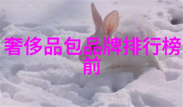 中国企业-揭秘2023年中国企业500强排名哪些巨头领跑了商界新篇章