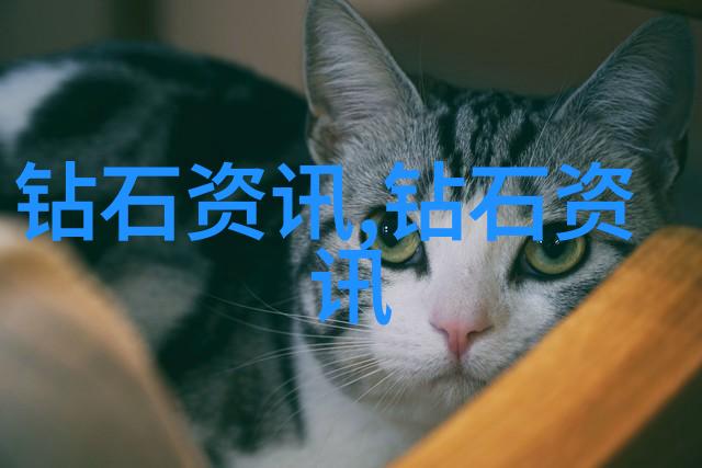 宝庆银楼考明清时期商贸与文化交流的象征