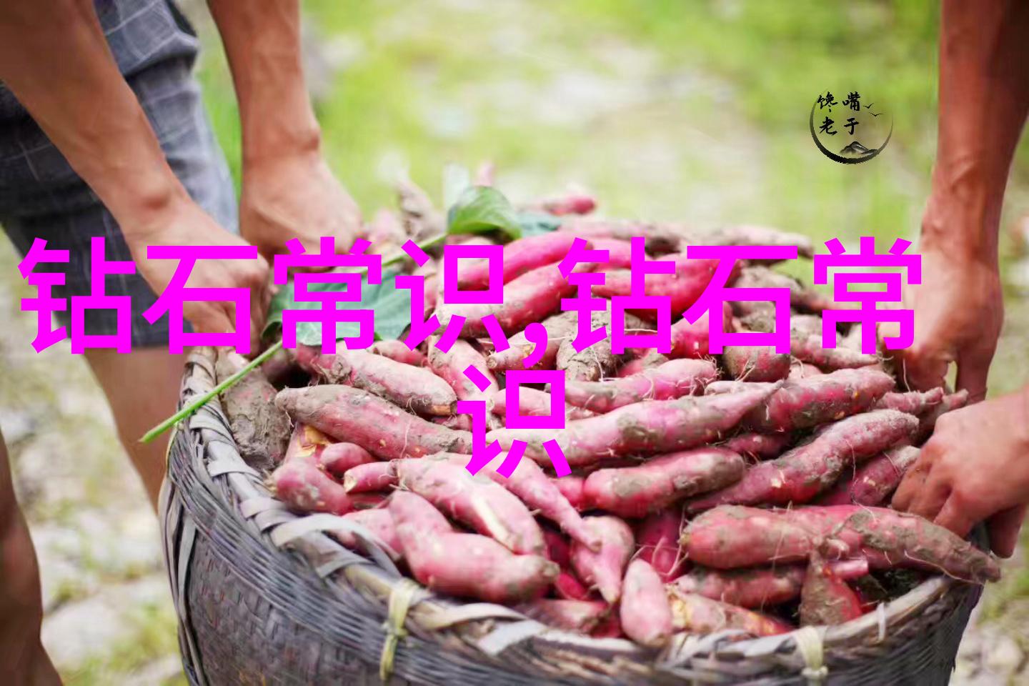 我来告诉你中国文化的美好之处故事艺术和传统