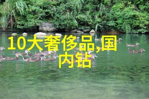 如何确保中国最大钻石的真实性和合法来源