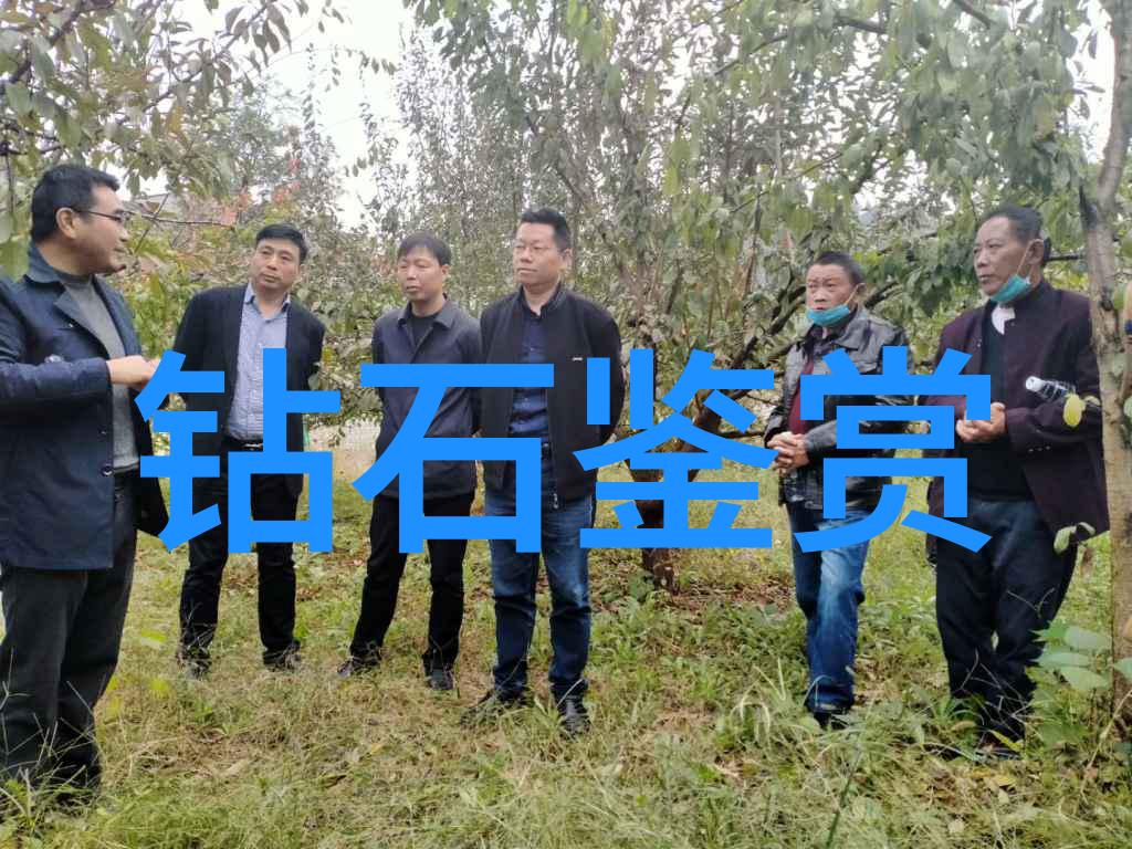 如何鉴定珠宝的真伪别让假货蒙混过关