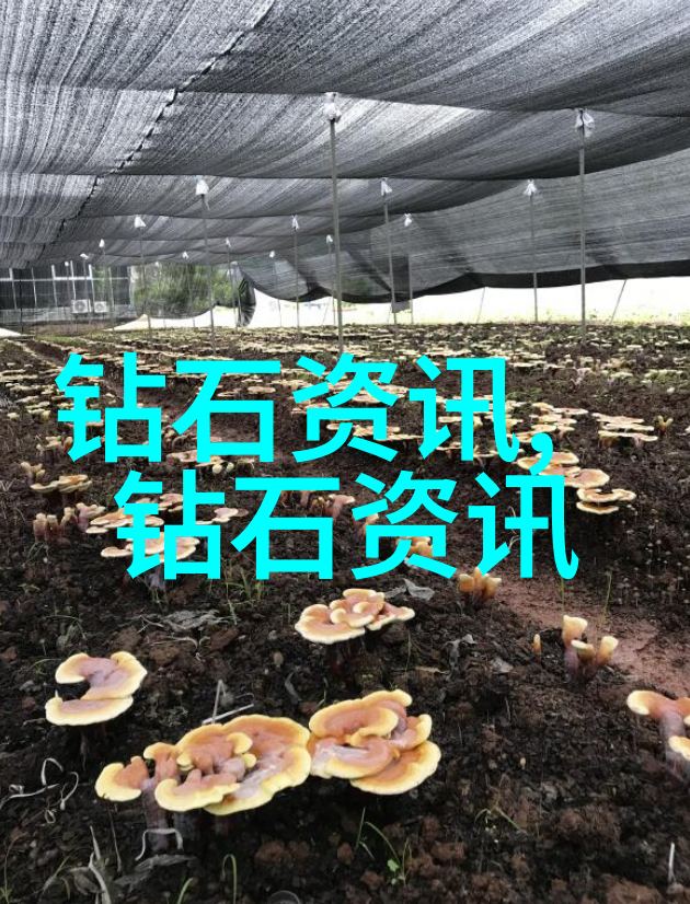 机械设计亲自操刀手把手教你如何画出完美的零件图