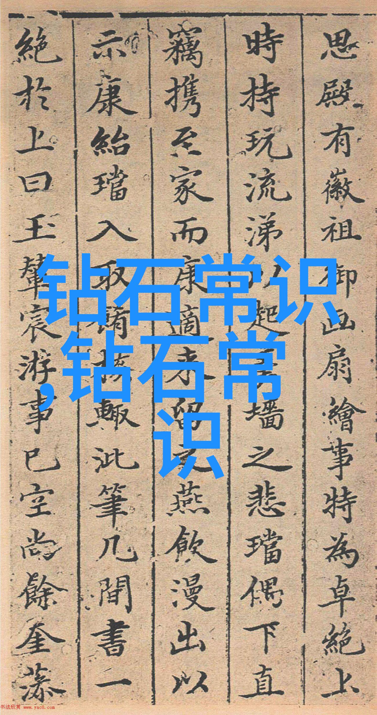 画廊中的品鉴与博物馆中的鉴赏视觉艺术的双重奏鸣