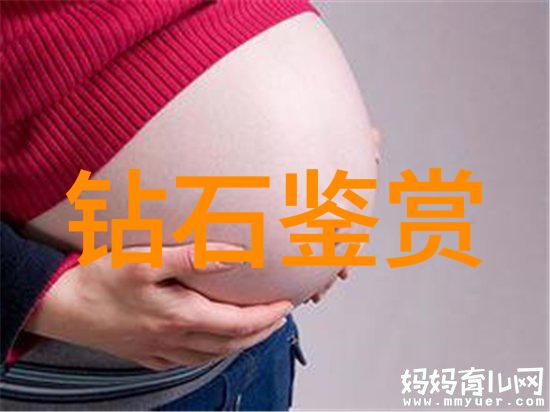 穿越魔幻森林探索童话故事中的神秘与奇迹