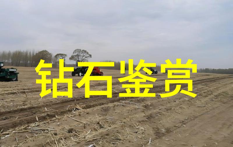 学生们对于广东工业大学校园环境有什么样的评价呢