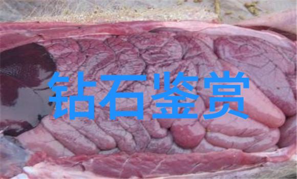 工艺美术专业学什么我在工艺美术这条路上走得还行吧