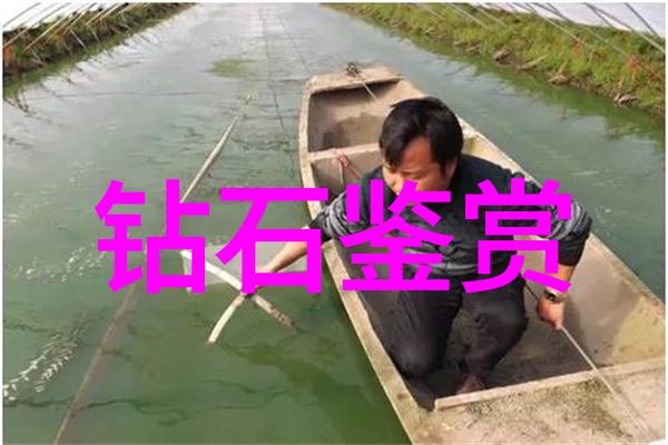 中国传统手工艺大全绣花木雕陶瓷制作刺绣书法等