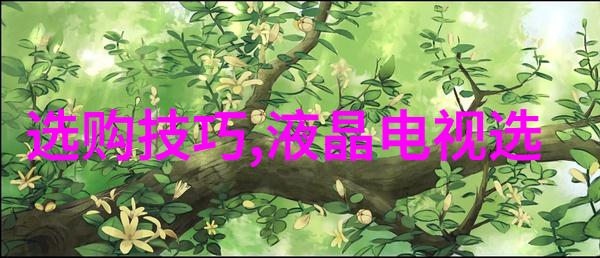 璀璨收藏揭秘那些珠宝的价值与魅力