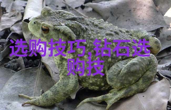 翡翠宝石鉴定艺术揭秘真假与品质考量