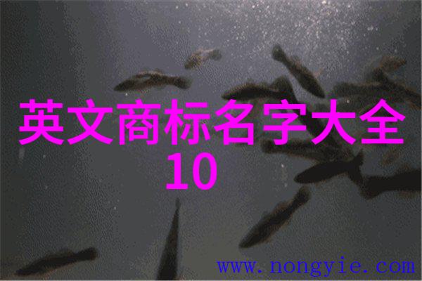宝庆银楼流光溢彩的古典银器艺术与传统工艺