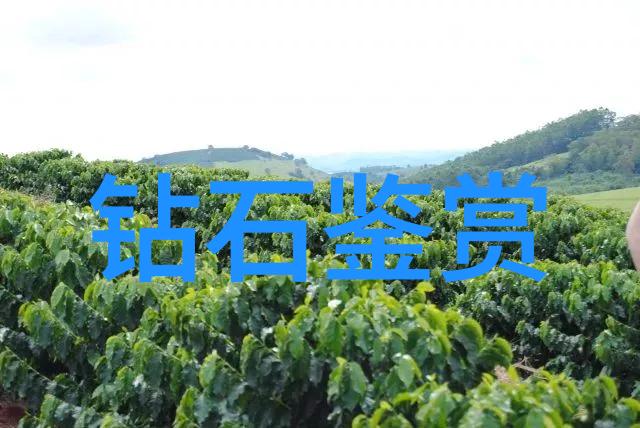 工商管理硕士我是如何通过工商管理硕士课程提升自己在企业运营中的视野和能力的