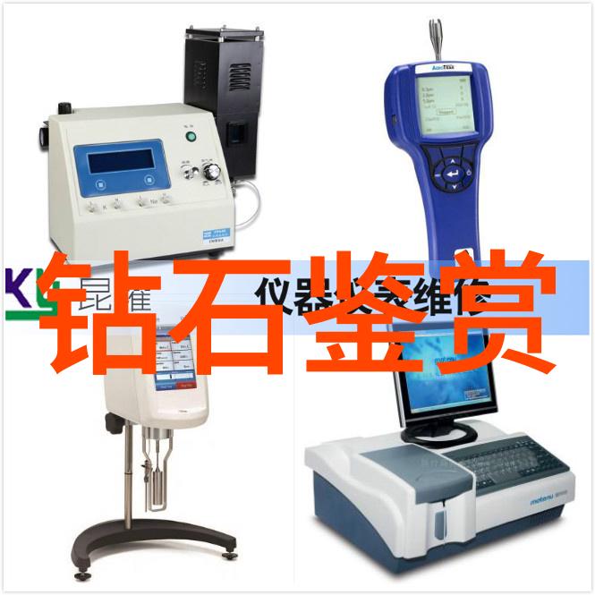 黑暗森林中的惊险冒险