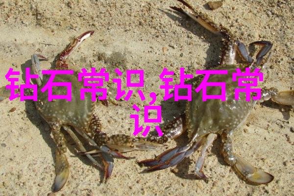 文化的根基与面纱揭秘传统与现代交织的复杂性