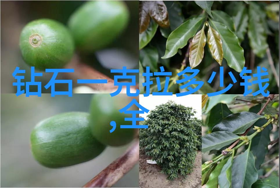 世界上最大的钻石 - 史上最大钻石慈悲之星的令人瞩目的克拉数