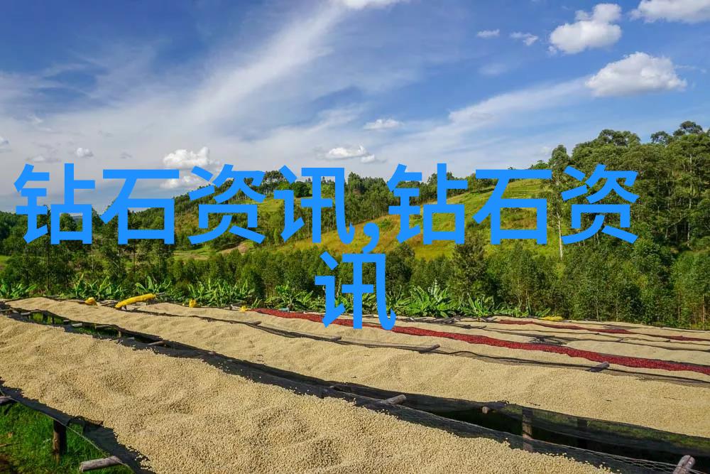 翡翠鉴别指南揭秘真假翡翠的证书识别技巧