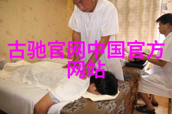 工艺过程-剖析工艺过程从原料选择到成品检验的完整流程