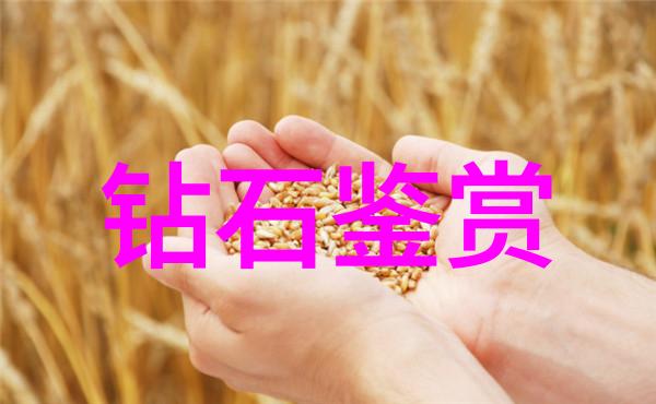 情包背后的秘密父亲与女儿的复杂关系