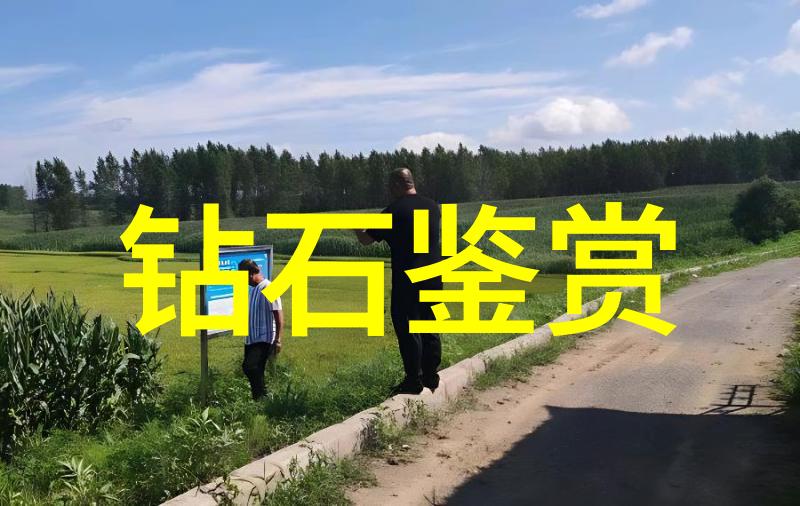 深入剖析审计学中的风险评估财务报告审查与内部控制体系建设