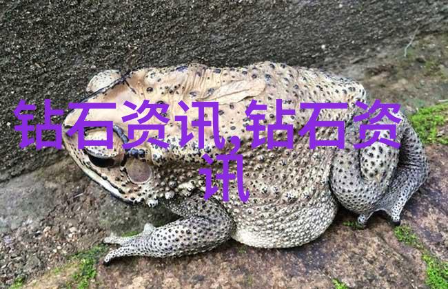 职场生涯的征程与挑战