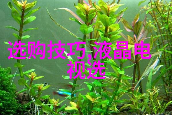 岭南文化翠绿画卷里的古韵悠扬