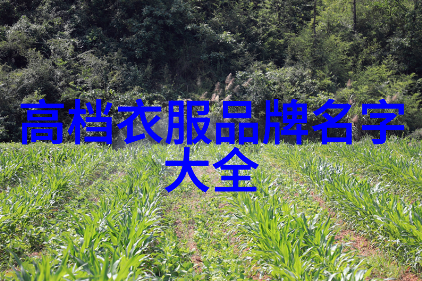 宝贵如天揭开一颗不等于两颗的世界顶级紫钻秘密