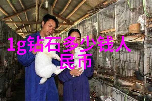 文化作为符号体系如何展现三个层次的差异