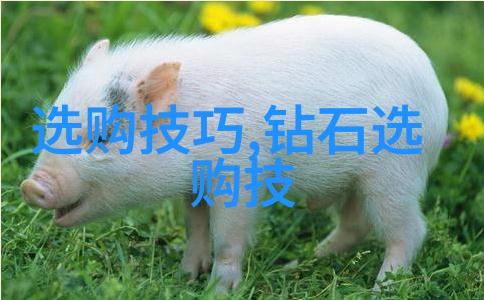 钻石的光彩钻石完全鉴赏与收藏指南