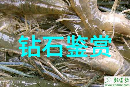 园艺专业学什么从泥土到花冠的奇妙旅程