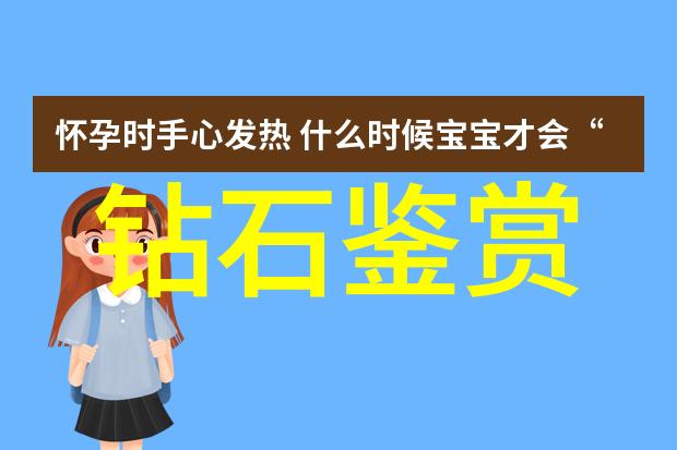 工艺流程图之谜解锁创新步骤的艺术密码