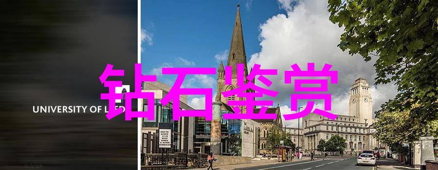 主题我和密斯凡德罗的奇幻冒险寻找失落的黄金城