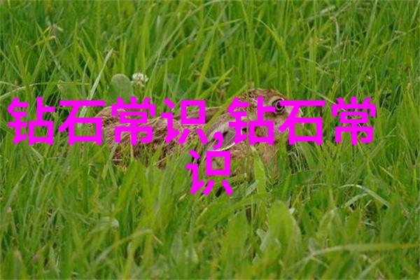 工程力学中的材料应力分析方法新趋势