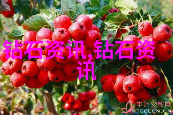 金属的柔韧折弯机的奇迹之旅