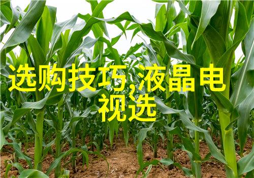 文化是怎样形成和发展的