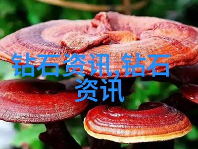 古典传奇的永恒魅力探究