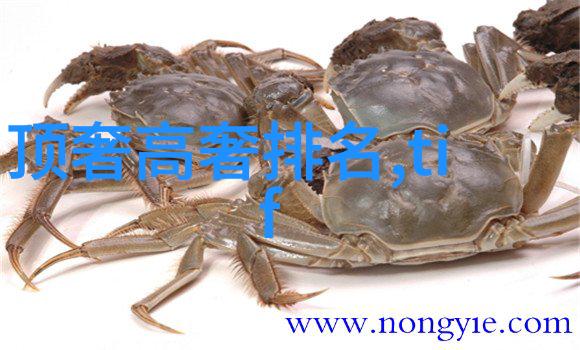 珠宝收藏-探秘高价值珠宝从古董首饰到稀有玉石