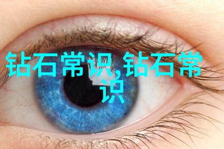 工程安全防范灾难的守护者