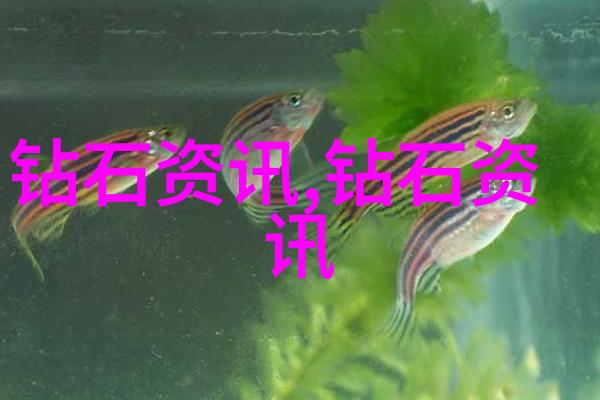 剑破九霄天涯明月刀的传奇