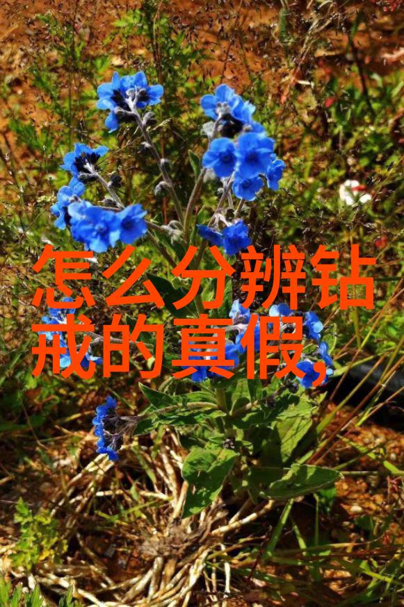 室内设计师资格证解锁空间美学的秘密代码